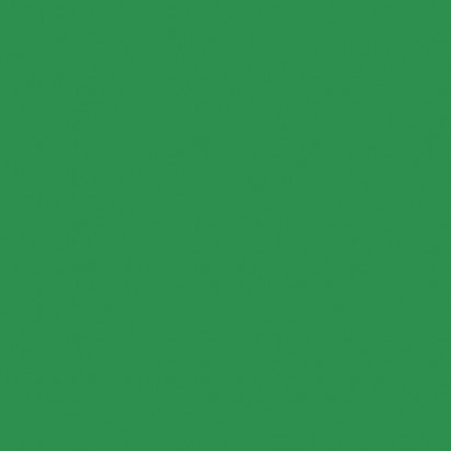 Фон из полиэстер-холста Visico зеленый (хромакей)