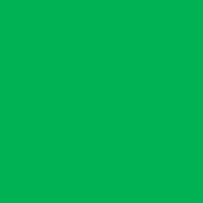  Фон тканевый зеленого цвета ​Хромакей 3x6 м