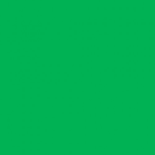 Фон тканевый зеленого цвета ​Хромакей 3x6 м - купить в Алматы, цена,  доставка | PSP Digital Photo