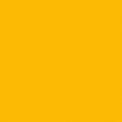 Фон бумажный Forsythia yellow 14 2,72x10м (желтая форзиция)