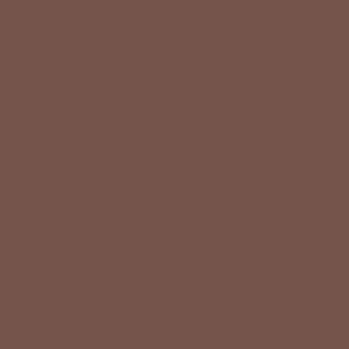 Фон бумажный Coco brown 20 2,72x10м (коричневый)