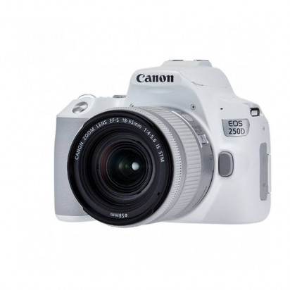 Фотоаппарат Canon EOS 250D kit 18-55mm f/3.5-5.6 IS STM серебристый