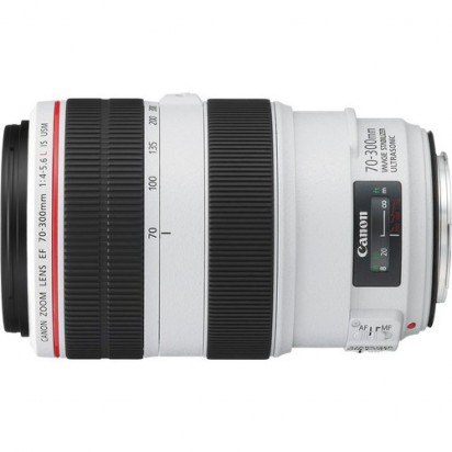 Объектив Canon EF 70-300mm f/4.0-5.6L IS USM